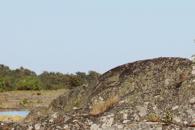 Strax innan Isor ramlar i och får simma ca 10 meter...