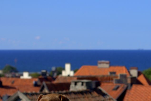 Jag och Birja med två tjejkompisar gjorde Gotland i helgen. det var superfint;)
