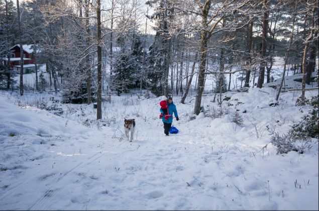 Knöt fast pulkan i Miras halsband så kunde hon dra den upp för backen:)  Inget barn i förstås;)