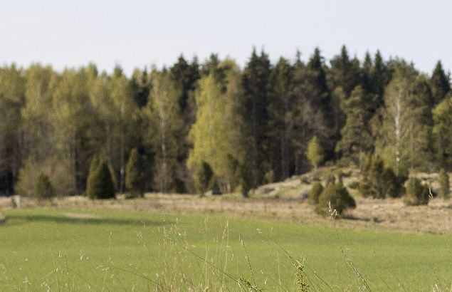 Bojan irrar gärna bort sej och hon hör inte varifrån v ropar längre, ser gör hon inte heller men hon blir sååå glad när hon hittar oss igen. även om hon bara varit borta några meter:)