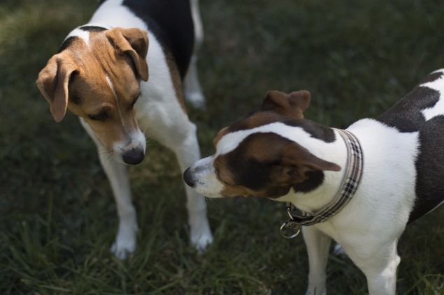 Maja och Sixten fann varann direkt;)