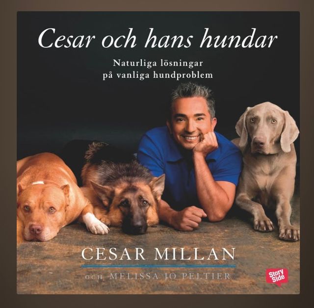 Jag rekomenderar starkt att läsa en massa böcker om hundar och hundägarskap. Denna boken tycker jag är bra. Finns vi även som talbok 😀